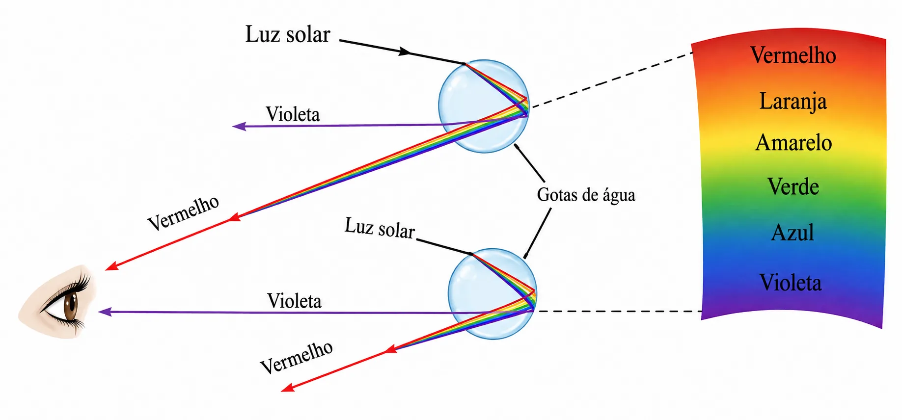 Diagrama da formação do arco-íris: raios de luz solar branca atingem gotas de água esféricas, sofrendo refração, reflexão interna e nova refração; a luz violeta desvia mais que a luz vermelha, formando no céu as faixas coloridas na ordem vermelho, laranja, amarelo, verde, azul e violeta.