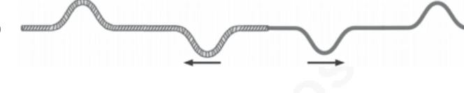 Questão 24: gráfico da alternativa C