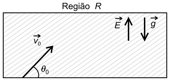 AFA 2011, questão 58: Campos elétrico e gravitacional, figura 1