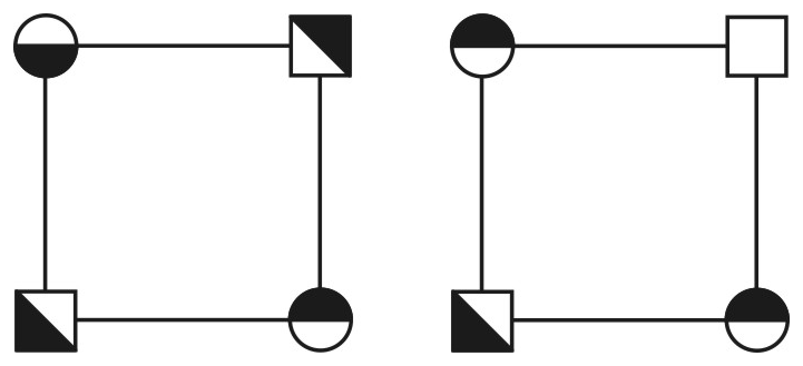 Alternativa A da questão 58: Simetria