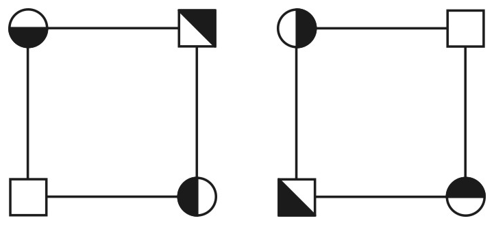 Alternativa B da questão 58: Simetria