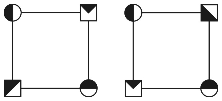 Alternativa C da questão 58: Simetria