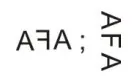 Alternativa B: orientações propostas para a primeira imagem e para a imagem final da inscrição AFA