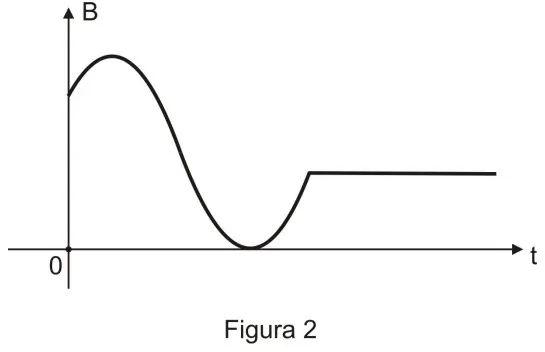 Figura 2: gráfico da intensidade do campo magnético B em função do tempo