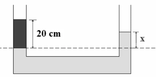 Vasos comunicantes com coluna de líquido 20 cm acima do nível de separação e altura x do outro lado