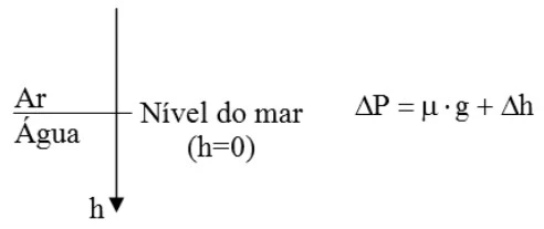 Alternativa D — questão 86