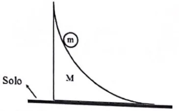 Partícula m deslizando sobre rampa circular M que pode mover-se sobre o solo