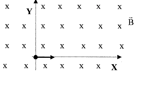 Figura 1: eletromagnetismo — força magnética — movimento circular, prova Escola Naval 2008, questão 27