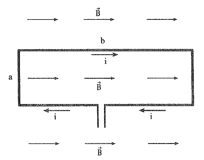 Figura 1: eletromagnetismo — torque e indução — espira, prova Escola Naval 2010, questão 38