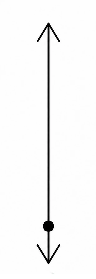 Alternativa C: uma força para cima e outra para baixo, com a pedra próxima da extremidade inferior