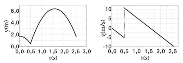 Alternativa B: gráficos de posição vertical e velocidade vertical em função do tempo