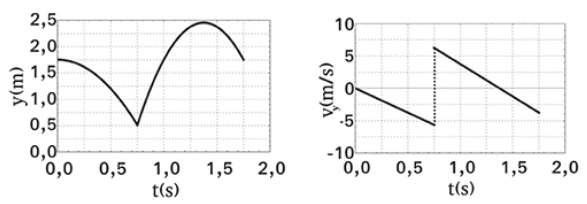 Alternativa C: gráficos de posição vertical e velocidade vertical em função do tempo