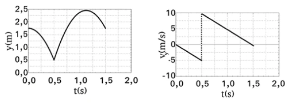 Alternativa D: gráficos de posição vertical e velocidade vertical em função do tempo