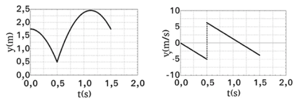 Alternativa E: gráficos de posição vertical e velocidade vertical em função do tempo
