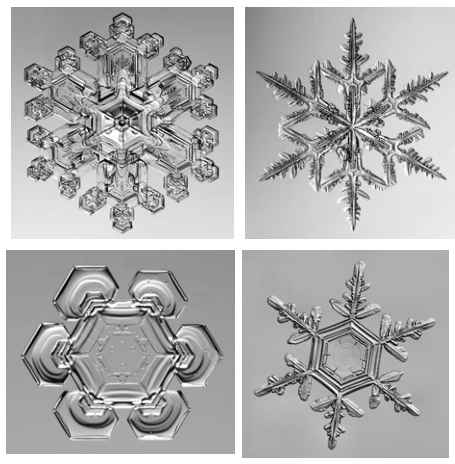 Quatro fotografias de cristais de neve com simetria de seis direções principais.