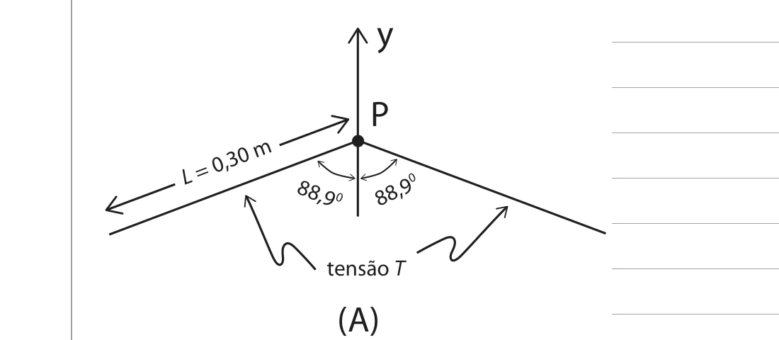 Ponto P na origem de um eixo y vertical; dois segmentos de corda partem de P formando ângulo de 88,9° com o eixo y de cada lado, indicando a tensão T em cada segmento; um dos segmentos tem comprimento L=0,30m