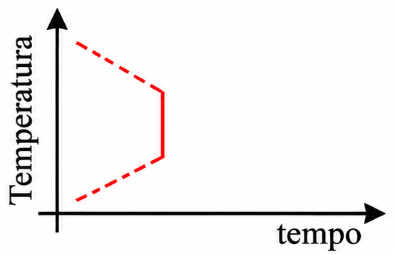 Gráfico D: Gráfico com um trecho vertical entre dois segmentos inclinados.