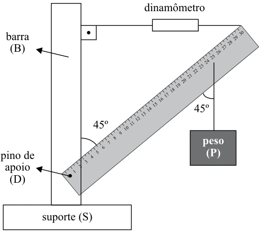 Equilíbrio de Rotação — figura da questão 52, SIS 2011, etapa 1