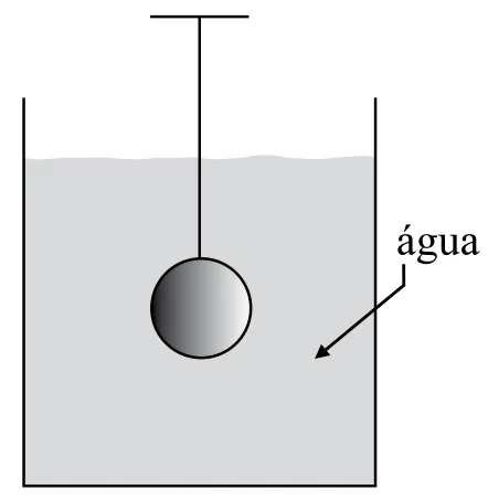Figura da gerais q65