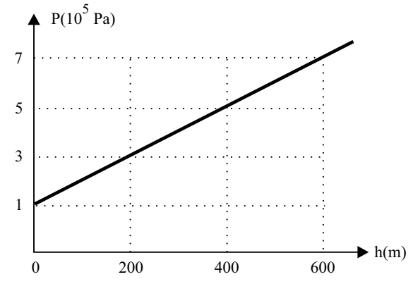 Gráfico da pressão P, em 10⁵ Pa, em função da profundidade h, em metros, para o líquido X.
