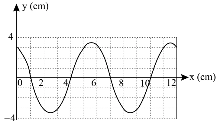 Gráfico da elongação y em centímetros em função da posição x em centímetros para um trem de ondas.