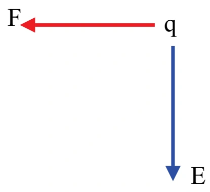 Alternativa C: força elétrica F apontando para a esquerda e campo elétrico E para baixo.