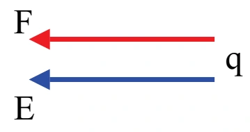 Alternativa E: força elétrica F e campo elétrico E apontando para a esquerda.