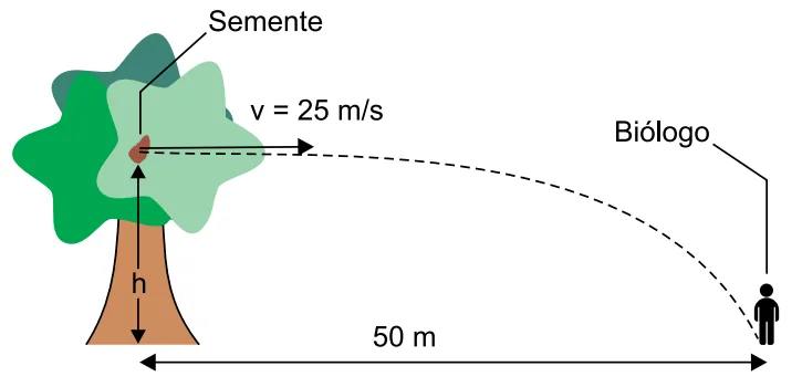 Diagrama do lançamento horizontal da semente com velocidade inicial v = 25 m/s e alcance horizontal de 50 m