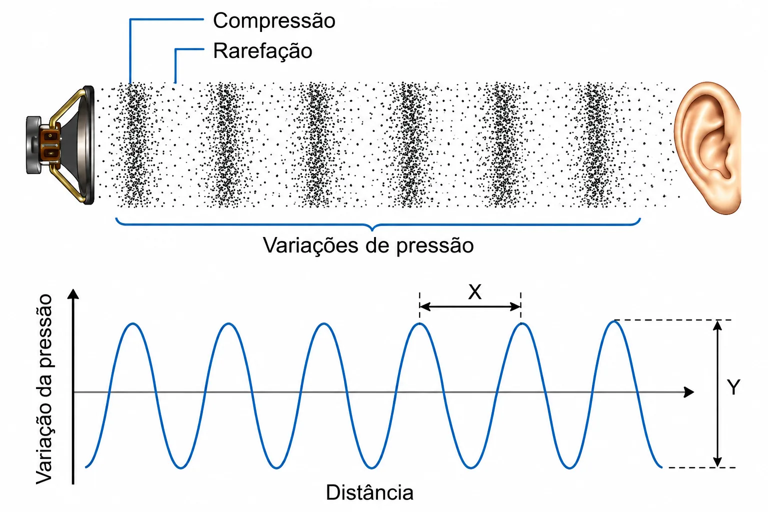 Esquema das zonas de compressão e rarefação do som e gráfico de variação da pressão pela distância