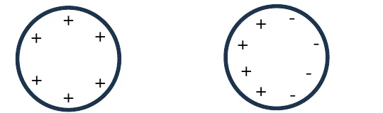 Alternativa D: esfera da esquerda com cargas positivas; esfera da direita com cargas positivas e negativas em lados opostos