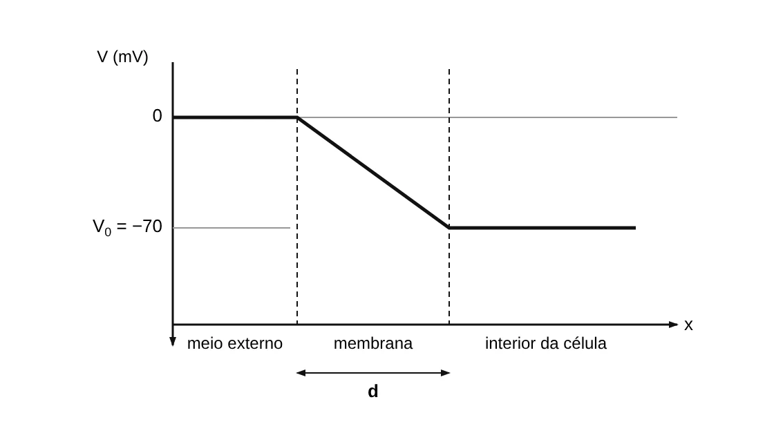 Gráfico do potencial elétrico em função da posição: 0 no meio externo, queda até V0 = −70 mV ao longo da membrana de espessura d e valor constante no interior da célula