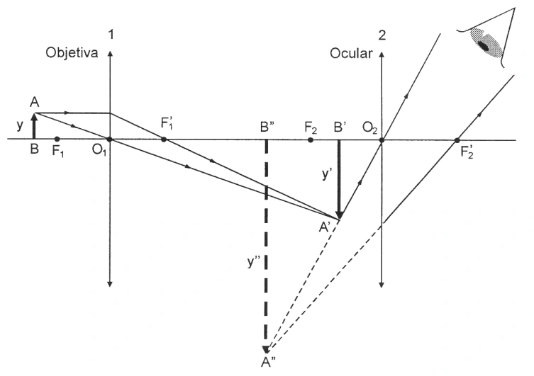 Microscópio composto: objetiva forma imagem intermediária A’B’, que serve de objeto à ocular, produzindo a imagem final A’’B’’.