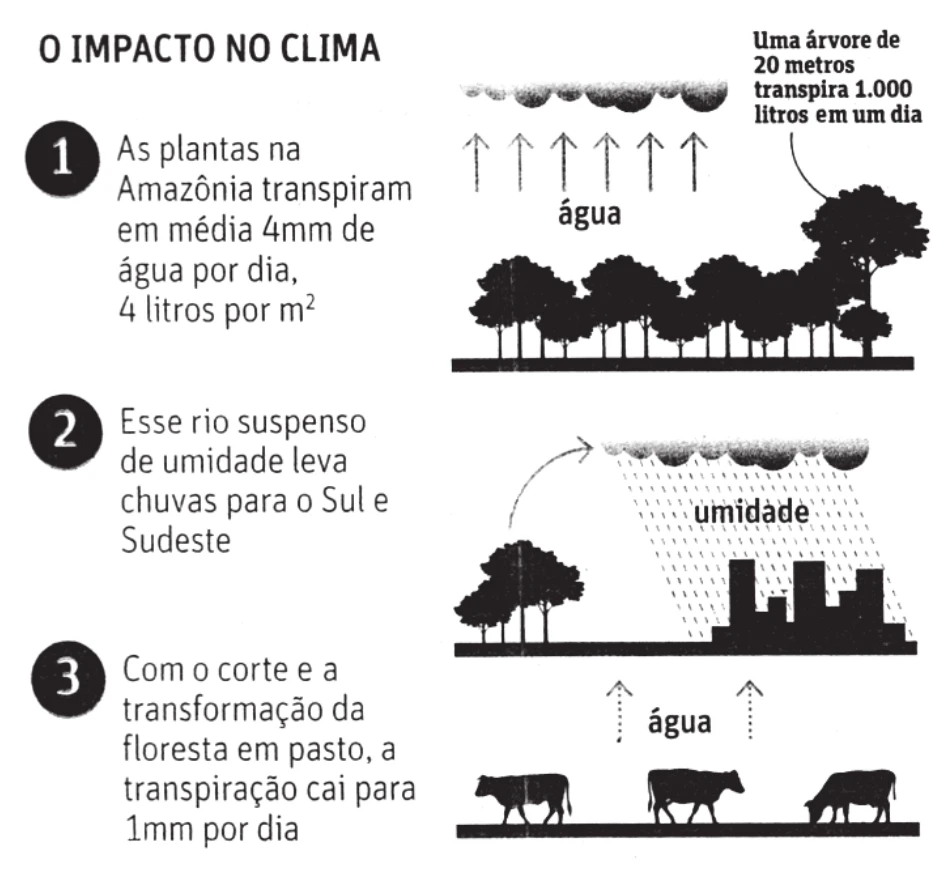 Ilustração 