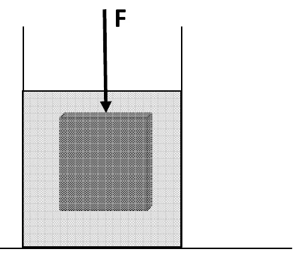Recipiente com líquido e um corpo maciço totalmente imerso, com uma força F vertical para baixo aplicada sobre ele.