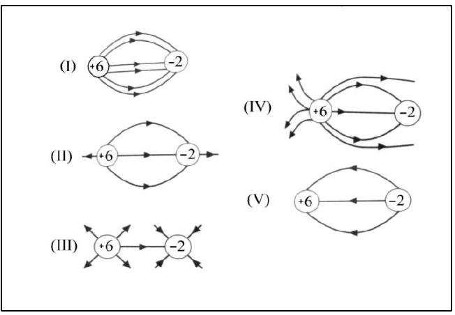 Quadro com cinco figuras, de I a V, de linhas de campo elétrico para duas cargas, +6 e −2, em diferentes representações.