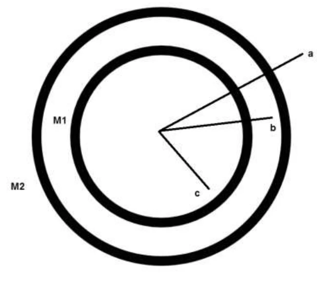 Duas camadas esféricas concêntricas, M1 (interna) e M2 (externa), com três segmentos a partir do centro: a e b alcançam as camadas e c termina dentro da camada interna.