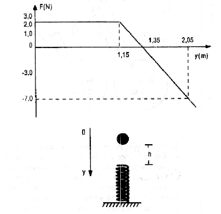 Força resultante vertical, com y positivo para baixo: 2 N de y = 0 a 1,15 m; depois decresce linearmente, cruza zero em 1,35 m e chega a −7 N em 2,05 m. Abaixo, esfera sobre mola.