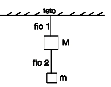 Fio 1 preso ao teto sustenta o bloco de massa M, e o fio 2, preso ao bloco M, sustenta o bloco de massa m