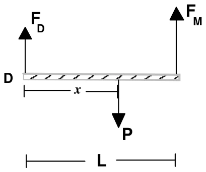 Tábua horizontal de comprimento L, com a força F_D da dobradiça em D, o peso P a uma distância x de D e a força F_M da mola na outra extremidade