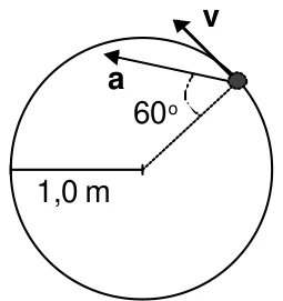 Trajetória circular de raio 1,0 m, com a aceleração a formando 60° com a direção do raio, e a velocidade v tangente
