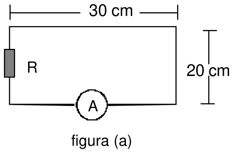Figura (a): espira retangular de 30 cm por 20 cm com amperímetro A e resistor R