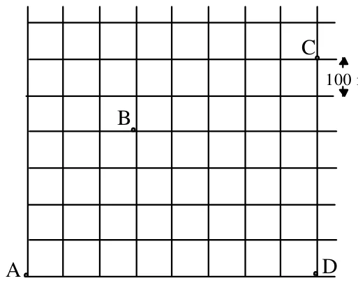 Mapa em quadrícula de ruas perpendiculares, quarteirões de 100 m. A (sua casa) no canto inferior esquerdo; D no canto inferior direito, na mesma rua de A; B (casa da avó) no interior; C (escola) no lado direito, acima de D
