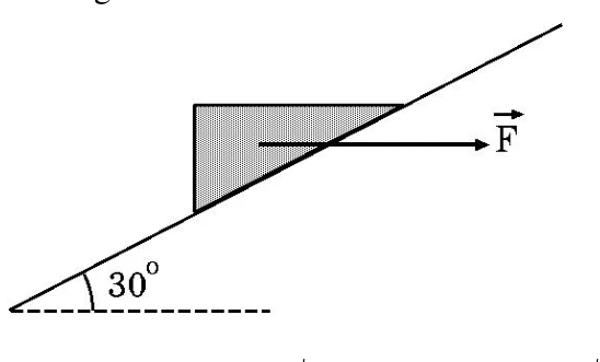 Cunha sobre um plano inclinado de 30° com a horizontal, empurrada por uma força horizontal F para a direita