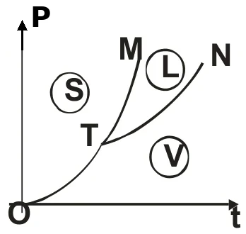 Diagrama de fases pressão P por temperatura t, com as regiões S (sólido), L (líquido) e V (vapor), o ponto triplo T e as curvas M e N