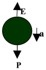 Esfera com peso P para baixo, empuxo E para cima e aceleração a para baixo