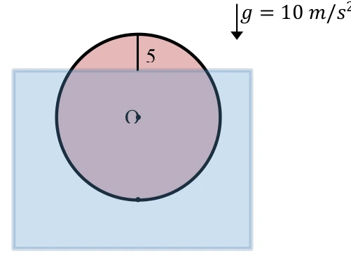 Seção transversal do tronco flutuante, com 5 cm acima da água.