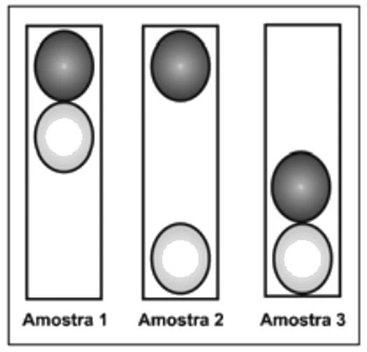 Três tubos verticais com duas bolas cada, uma escura e uma clara. Amostra 1: as duas bolas estão no alto do tubo. Amostra 2: a bola escura está no alto e a bola clara no fundo. Amostra 3: as duas bolas estão no fundo.