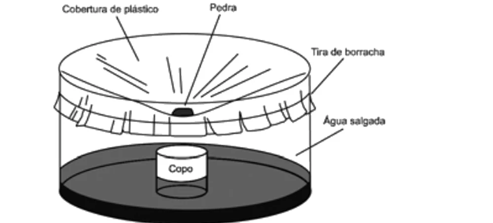 Tanque cilíndrico com água salgada coberto por uma cobertura de plástico presa por uma tira de borracha. Uma pedra abaixa o centro do plástico e, sob ela, há um copo sobre a água.