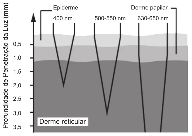 Gráfico da profundidade de penetração da luz na pele, em mm, para 400 nm, 500–550 nm e 630–650 nm: a luz de 400 nm penetra cerca de 2 mm, a de 500–550 nm cerca de 3 mm e a de 630–650 nm ultrapassa 3,5 mm, atravessando epiderme, derme papilar e derme reticular