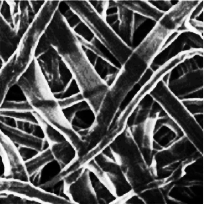 Imagem de microscopia eletrônica de varredura das microfibras entrelaçadas de celulose do papel